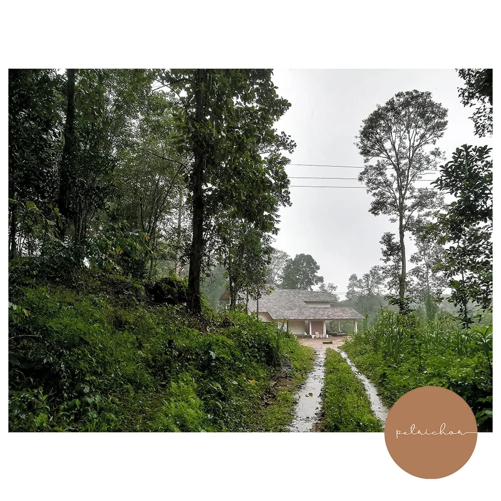 Thakadiyel House image 8